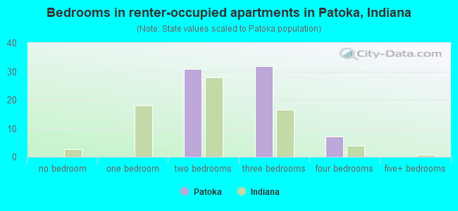 Bedrooms in renter-occupied apartments in Patoka, Indiana