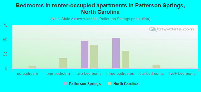 Bedrooms in renter-occupied apartments in Patterson Springs, North Carolina