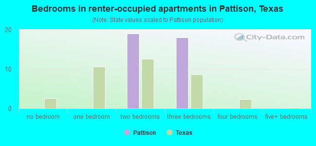 Bedrooms in renter-occupied apartments in Pattison, Texas