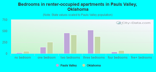 Bedrooms in renter-occupied apartments in Pauls Valley, Oklahoma