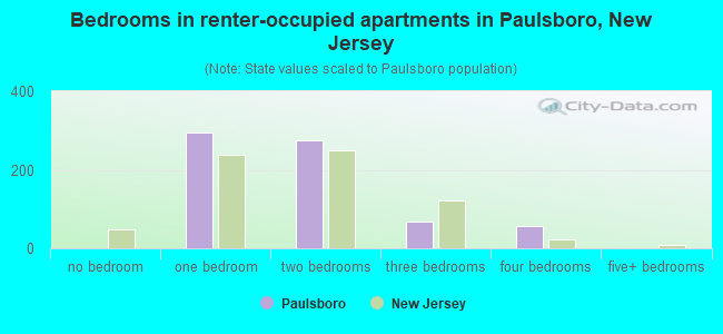 Bedrooms in renter-occupied apartments in Paulsboro, New Jersey