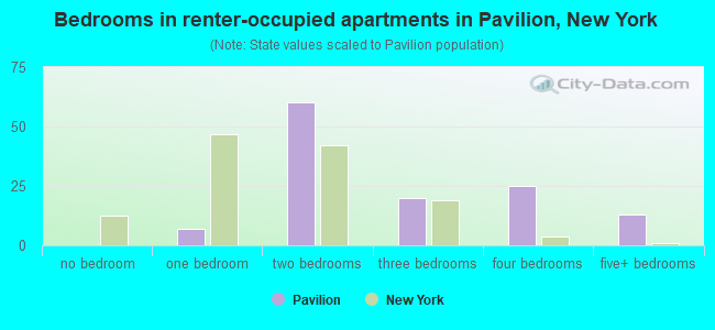 Bedrooms in renter-occupied apartments in Pavilion, New York