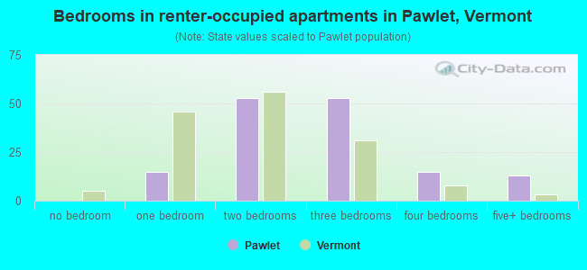 Bedrooms in renter-occupied apartments in Pawlet, Vermont