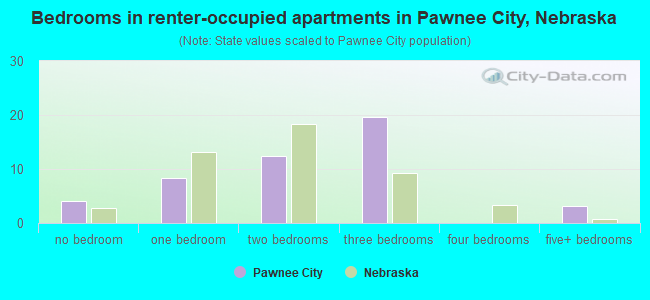 Bedrooms in renter-occupied apartments in Pawnee City, Nebraska