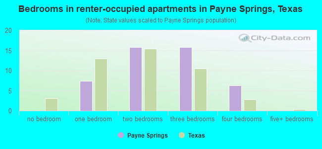 Bedrooms in renter-occupied apartments in Payne Springs, Texas