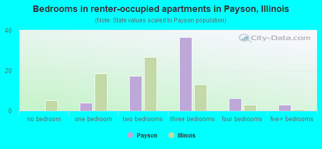 Bedrooms in renter-occupied apartments in Payson, Illinois