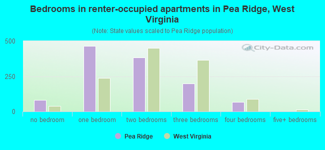 Bedrooms in renter-occupied apartments in Pea Ridge, West Virginia