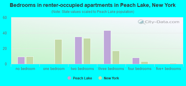 Bedrooms in renter-occupied apartments in Peach Lake, New York