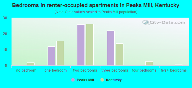 Bedrooms in renter-occupied apartments in Peaks Mill, Kentucky