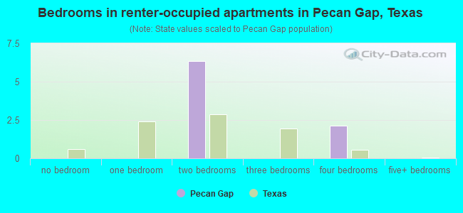 Bedrooms in renter-occupied apartments in Pecan Gap, Texas