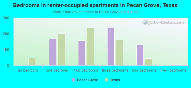 Bedrooms in renter-occupied apartments in Pecan Grove, Texas
