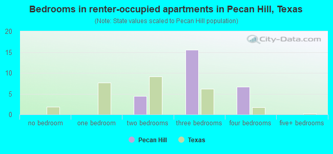 Bedrooms in renter-occupied apartments in Pecan Hill, Texas