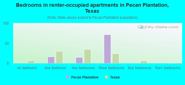 Bedrooms in renter-occupied apartments in Pecan Plantation, Texas