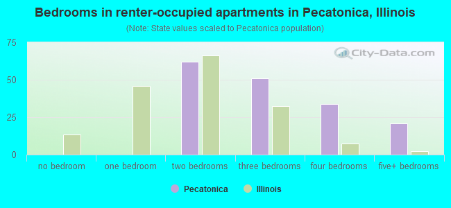 Bedrooms in renter-occupied apartments in Pecatonica, Illinois