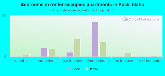 Bedrooms in renter-occupied apartments in Peck, Idaho