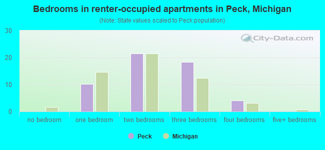 Bedrooms in renter-occupied apartments in Peck, Michigan