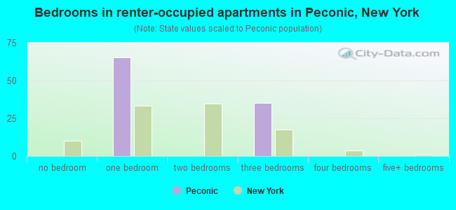 Bedrooms in renter-occupied apartments in Peconic, New York