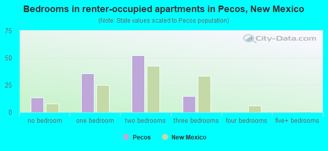 Bedrooms in renter-occupied apartments in Pecos, New Mexico