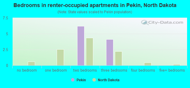 Bedrooms in renter-occupied apartments in Pekin, North Dakota