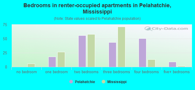 Bedrooms in renter-occupied apartments in Pelahatchie, Mississippi