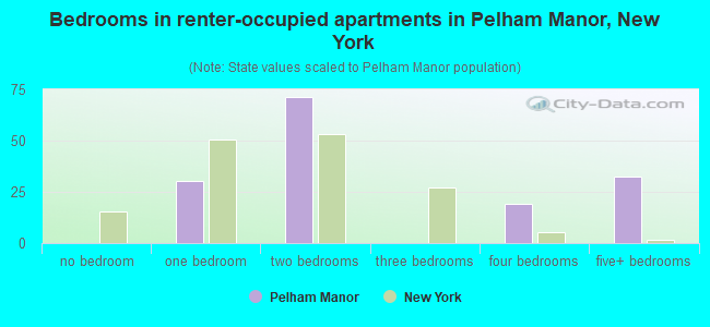 Bedrooms in renter-occupied apartments in Pelham Manor, New York