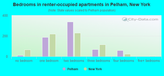 Bedrooms in renter-occupied apartments in Pelham, New York