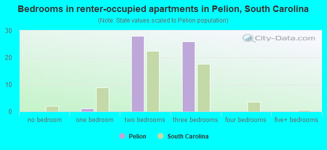 Bedrooms in renter-occupied apartments in Pelion, South Carolina