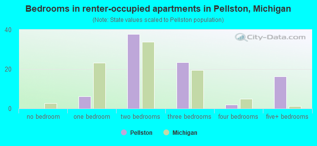 Bedrooms in renter-occupied apartments in Pellston, Michigan