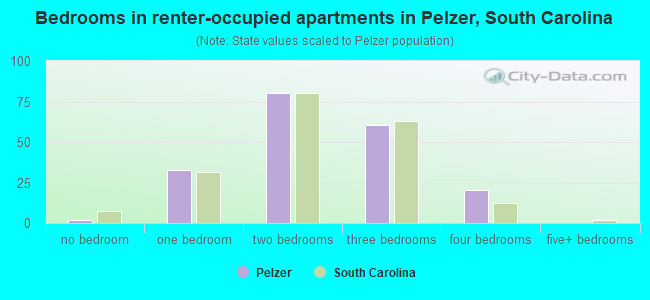 Bedrooms in renter-occupied apartments in Pelzer, South Carolina