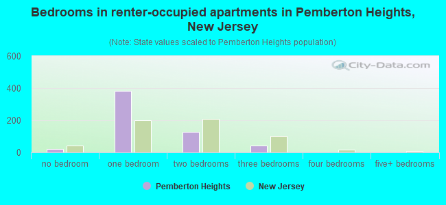 Bedrooms in renter-occupied apartments in Pemberton Heights, New Jersey