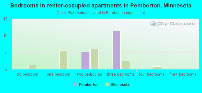 Bedrooms in renter-occupied apartments in Pemberton, Minnesota