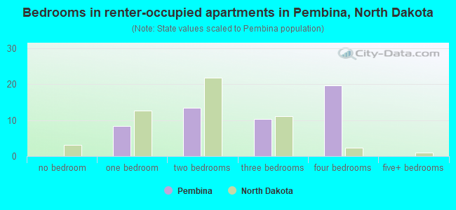 Bedrooms in renter-occupied apartments in Pembina, North Dakota