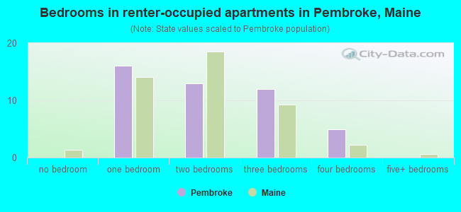 Bedrooms in renter-occupied apartments in Pembroke, Maine