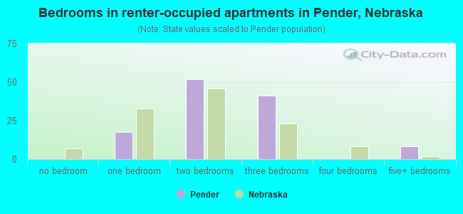 Bedrooms in renter-occupied apartments in Pender, Nebraska