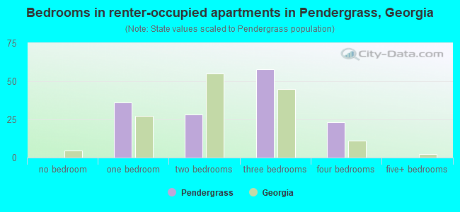 Bedrooms in renter-occupied apartments in Pendergrass, Georgia