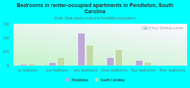 Bedrooms in renter-occupied apartments in Pendleton, South Carolina