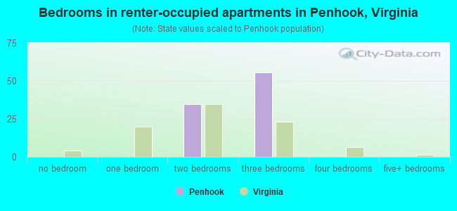 Bedrooms in renter-occupied apartments in Penhook, Virginia