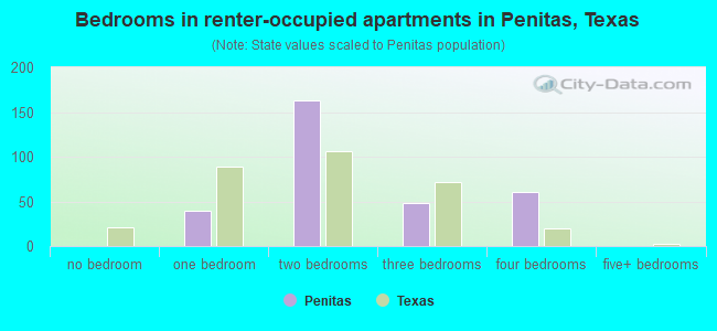 Bedrooms in renter-occupied apartments in Penitas, Texas
