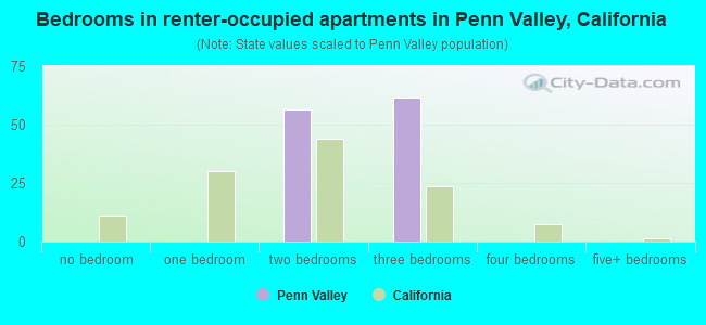 Bedrooms in renter-occupied apartments in Penn Valley, California