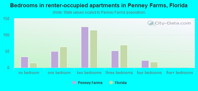 Bedrooms in renter-occupied apartments in Penney Farms, Florida