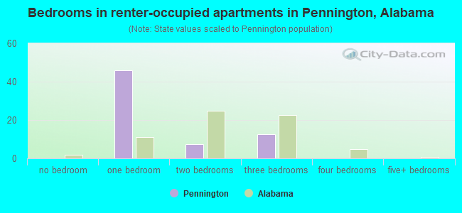 Bedrooms in renter-occupied apartments in Pennington, Alabama