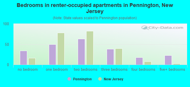 Bedrooms in renter-occupied apartments in Pennington, New Jersey
