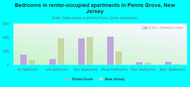 Bedrooms in renter-occupied apartments in Penns Grove, New Jersey