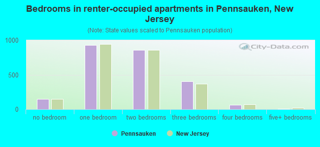 Bedrooms in renter-occupied apartments in Pennsauken, New Jersey