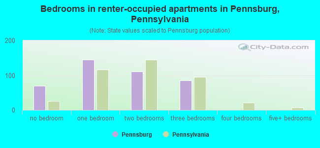 Bedrooms in renter-occupied apartments in Pennsburg, Pennsylvania