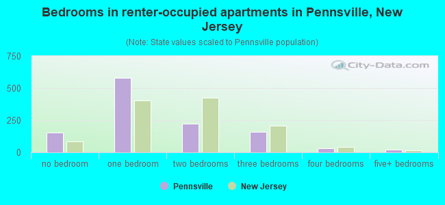 Bedrooms in renter-occupied apartments in Pennsville, New Jersey