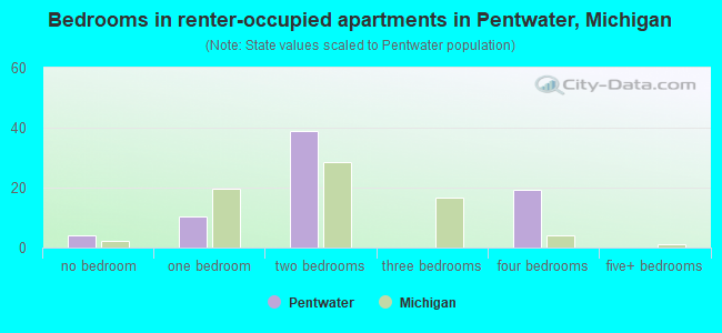 Bedrooms in renter-occupied apartments in Pentwater, Michigan