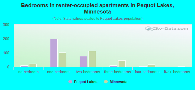 Bedrooms in renter-occupied apartments in Pequot Lakes, Minnesota