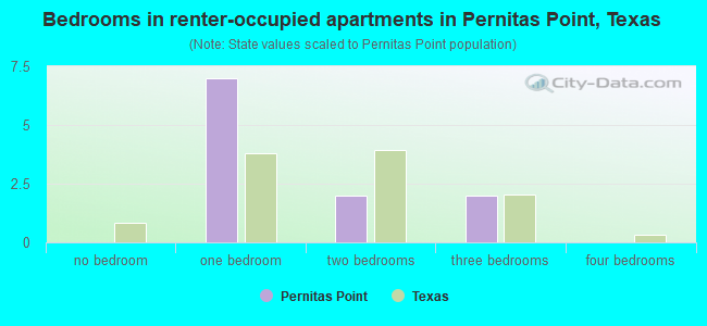 Bedrooms in renter-occupied apartments in Pernitas Point, Texas