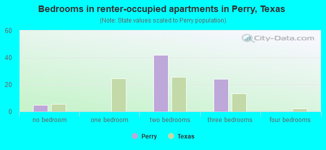 Bedrooms in renter-occupied apartments in Perry, Texas